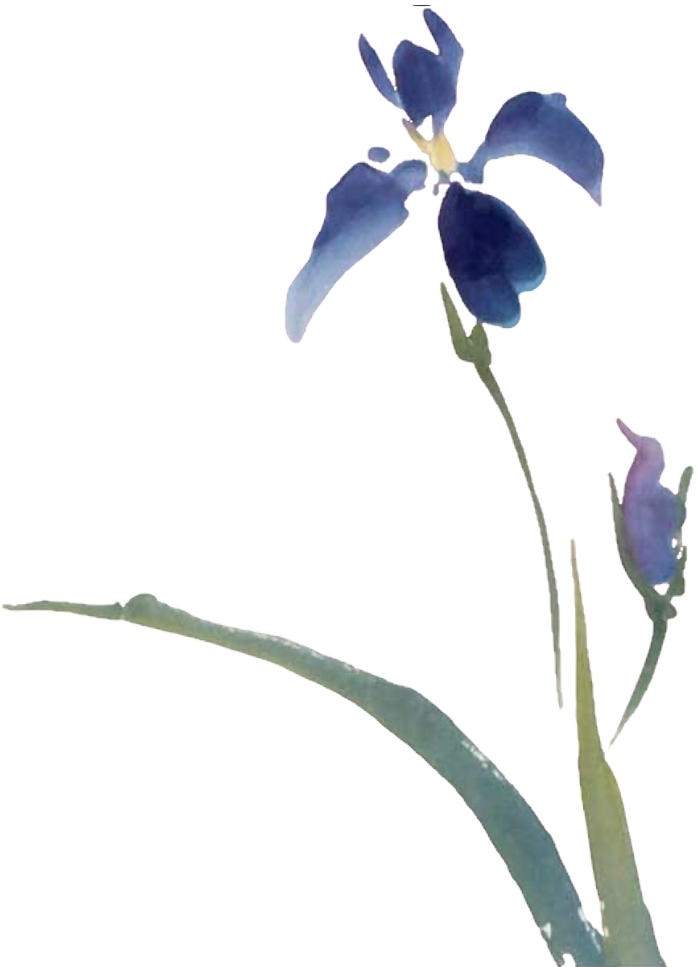 blueFlower