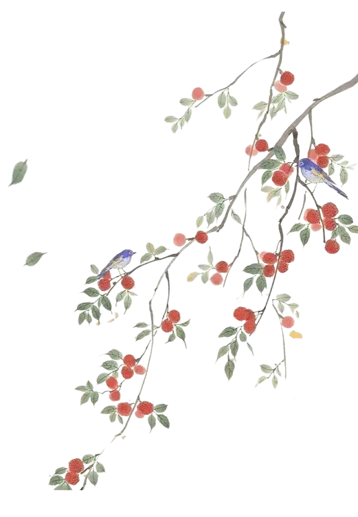 Fruit Branch